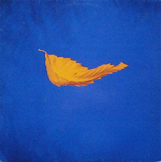 New Order - True Faith [12 Inch Single]