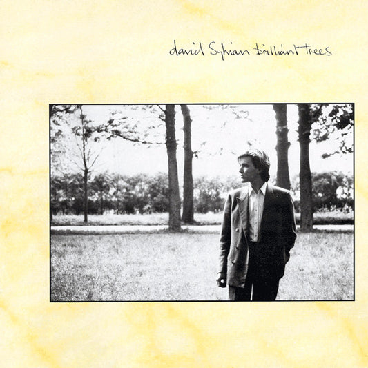 Sylvian, David - Brilliant Trees [Vinyl] [Second Hand]