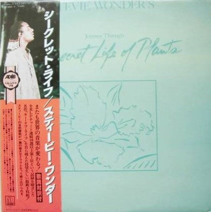 Wonder, Stevie - Journey Through The Secret Life Of [Vinyl] [Second Hand]