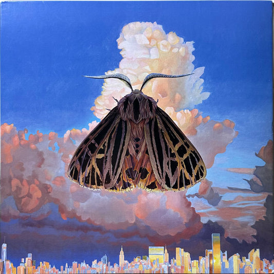 Chairlift - Moth [Vinyl] [Second Hand]