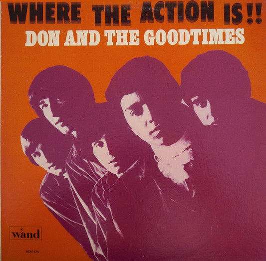 Don and The Goodtimes - Goodtime Rock 'n Roll [Vinyl]