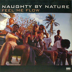 Naughty By Nature - Feel Me Flow (Original Mix /Hang Out and H [12 Inch Single] [Second Hand]