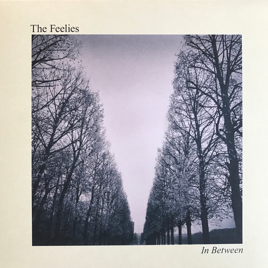 Feelies - In Between [Vinyl]