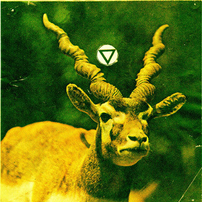 Anals - Total Anal [Vinyl] [Second Hand]