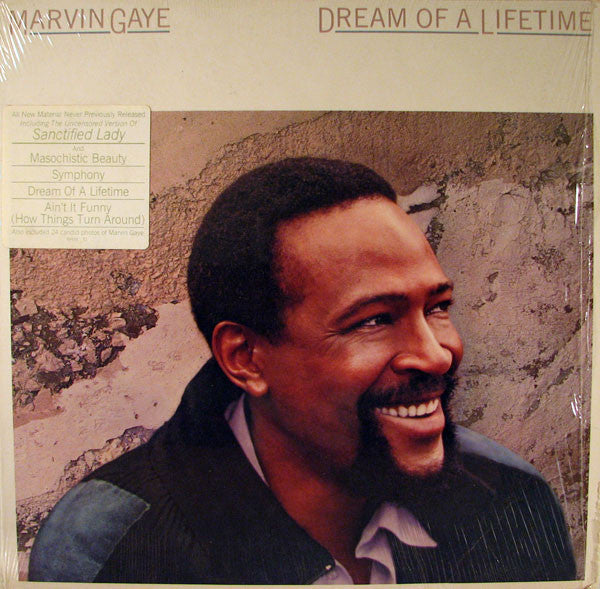 Gaye, Marvin - Dream Of A Lifetime [Vinyl] [Second Hand]