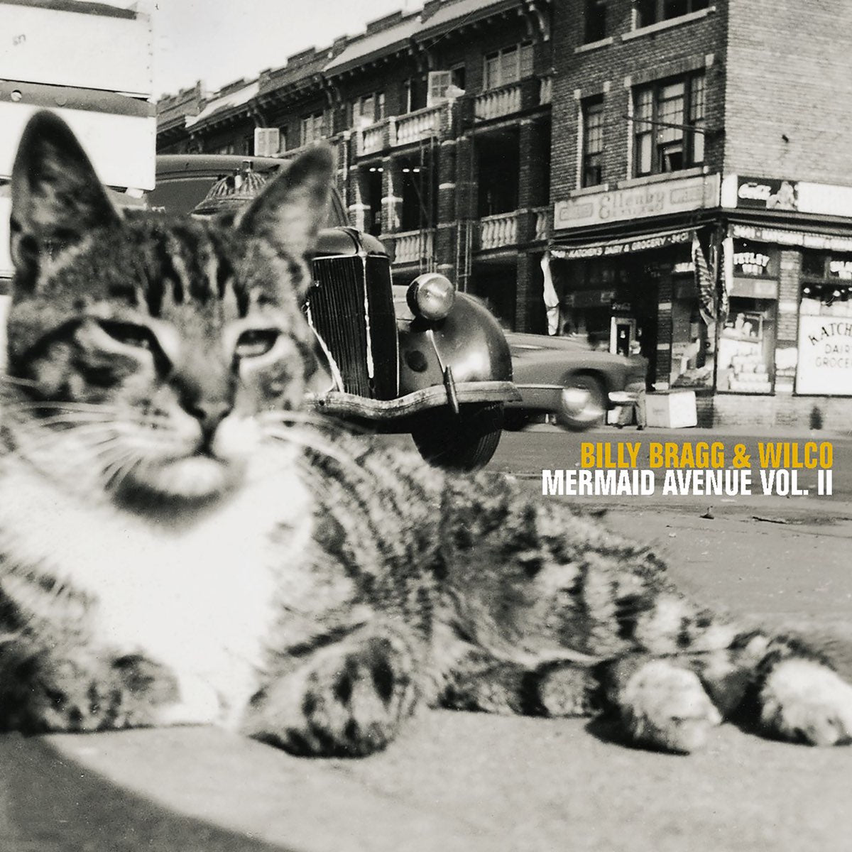 Bragg, Billy and Wilco - Mermaid Avenue Vol Ii [CD] [Second Hand]