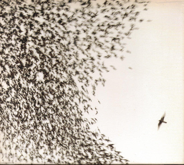 Wilco - Sky Blue Sky [Vinyl]