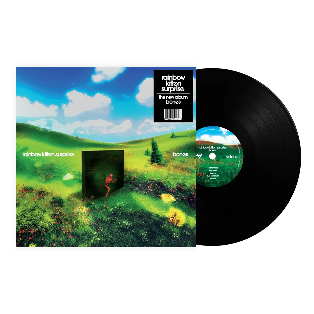 Rainbow Kitten Surprise - Bones [Vinyl]