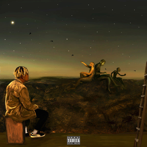 Cordae - From A Birds Eye View [Vinyl]