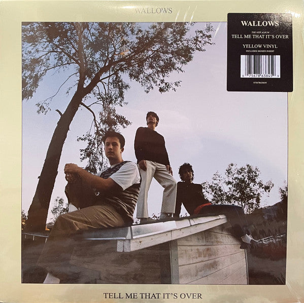 Wallows - Tell Me That It's Over [Vinyl]