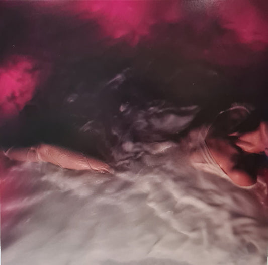 Williams, Hayley - Flowers For Vases // Descansos [Vinyl]