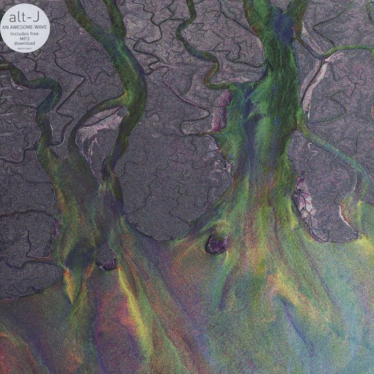 Alt-J - An Awesome Wave [Vinyl]