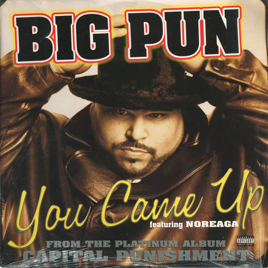 Big Pun - You Came Up [12 Inch Single] [Second Hand]