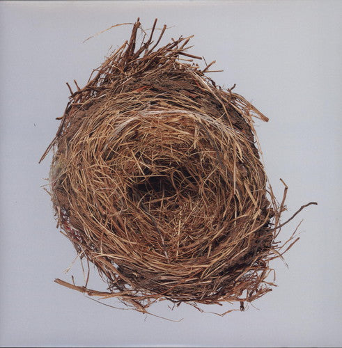 Wilco - A Ghost Is Born [Vinyl]