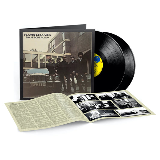 Flamin' Groovies - Shake Some Action [Vinyl]