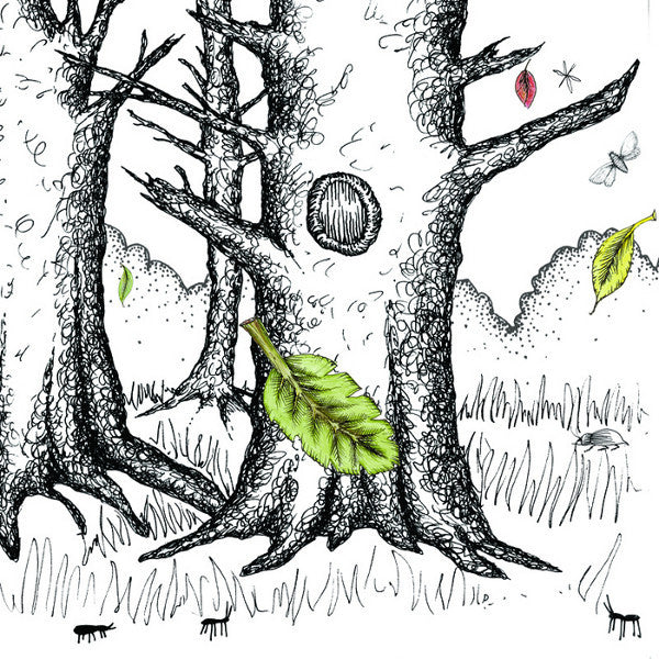 Psapp - Tiger, My Friend [CD] [Second Hand]