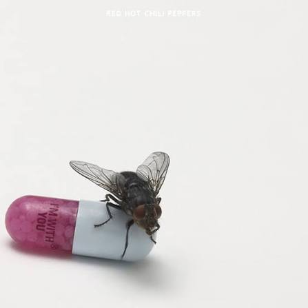 Red Hot Chili Peppers - I'm With You [CD]