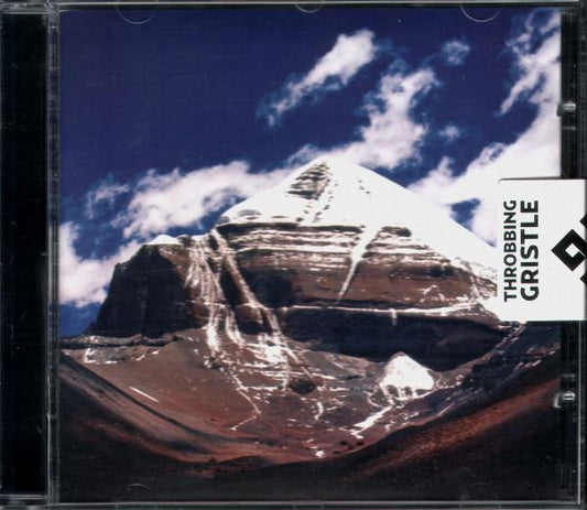 Throbbing Gristle - Part Two: The Endless Not [CD] [Second Hand]