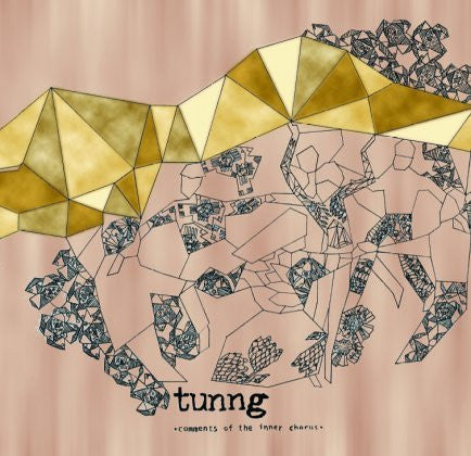 Tunng - Comments Of The Inner Chorus [CD] [Second Hand]