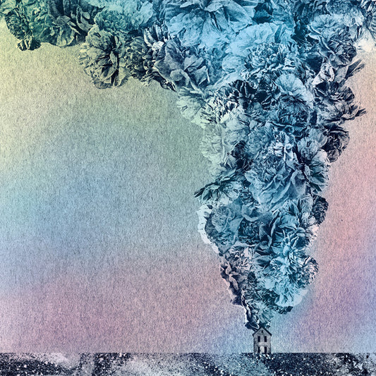 Gibson, Daughn - Carnation [CD] [Second Hand]