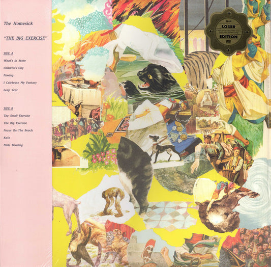 Homesick - Big Exercise [Vinyl]
