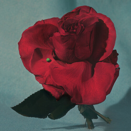 Metz - Up On Gravity Hill [Vinyl]