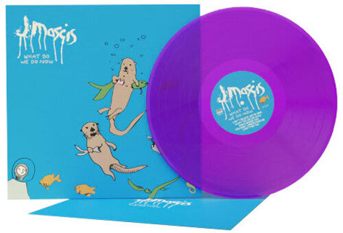 Mascis, J - What Do We Do Now [Vinyl]