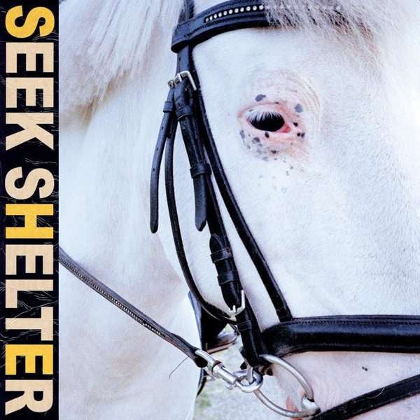 Iceage - Seek Shelter [Vinyl]