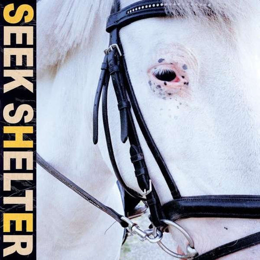 Iceage - Seek Shelter [Vinyl]