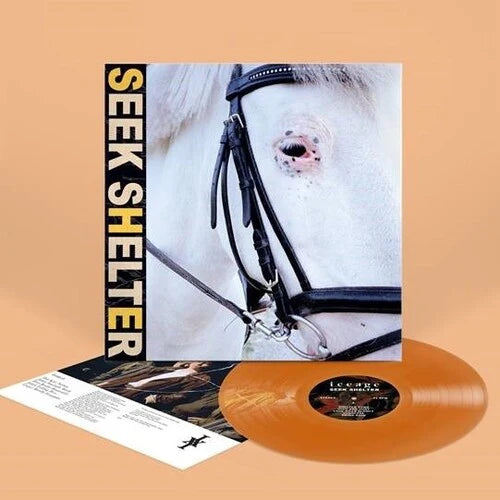 Iceage - Seek Shelter [Vinyl]