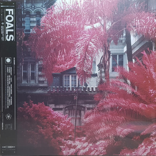 Foals - Everything Not Saved Will Be Lost Part 1 [Vinyl]