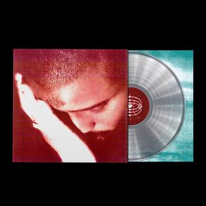 Nourished By Time - Passionate Ones [Vinyl]