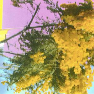 Four Tet - Into Dust (Still Falling) [12 Inch Single]