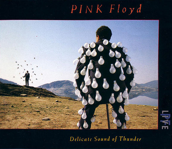 Pink Floyd - Delicate Sound Of Thunder: 2CD [CD]