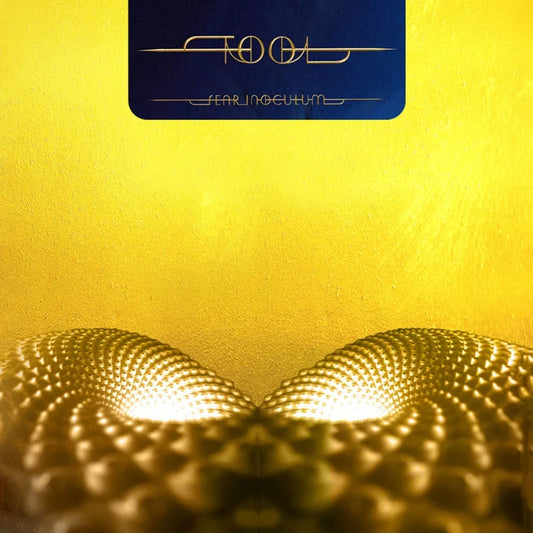 Tool - Fear Inoculum [Vinyl Box Set]