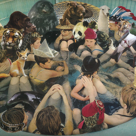 Panda Bear - Person Pitch [Vinyl]