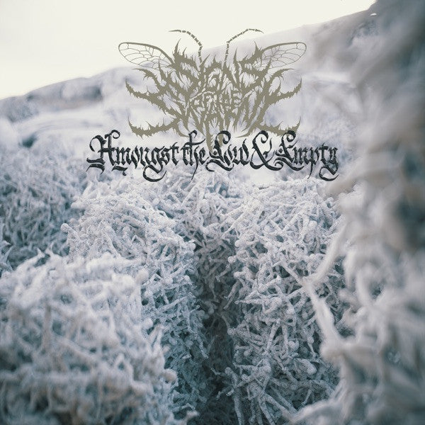 Signs Of The Swarm - Amongst The Low and Empty [Vinyl]