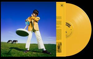 Mckenna, Declan - What Happened To The Beach? [Vinyl]