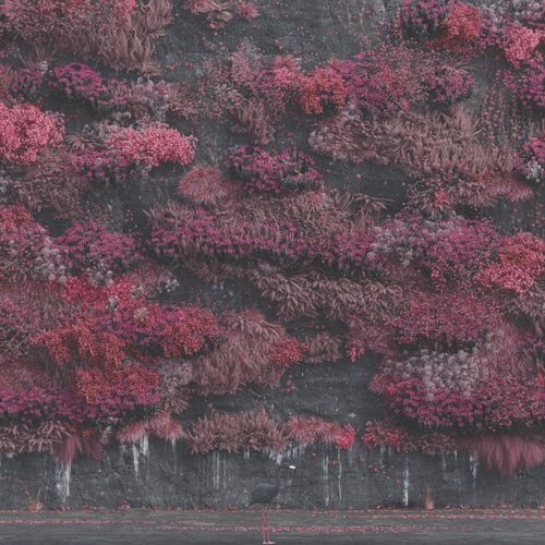 Sleep Token - Even In Arcadia [CD]