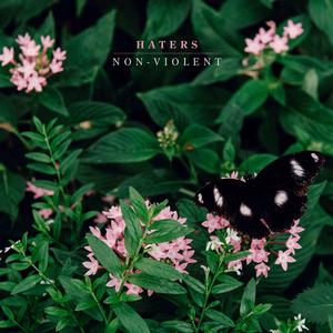 Haters - Non-Violent [Vinyl]