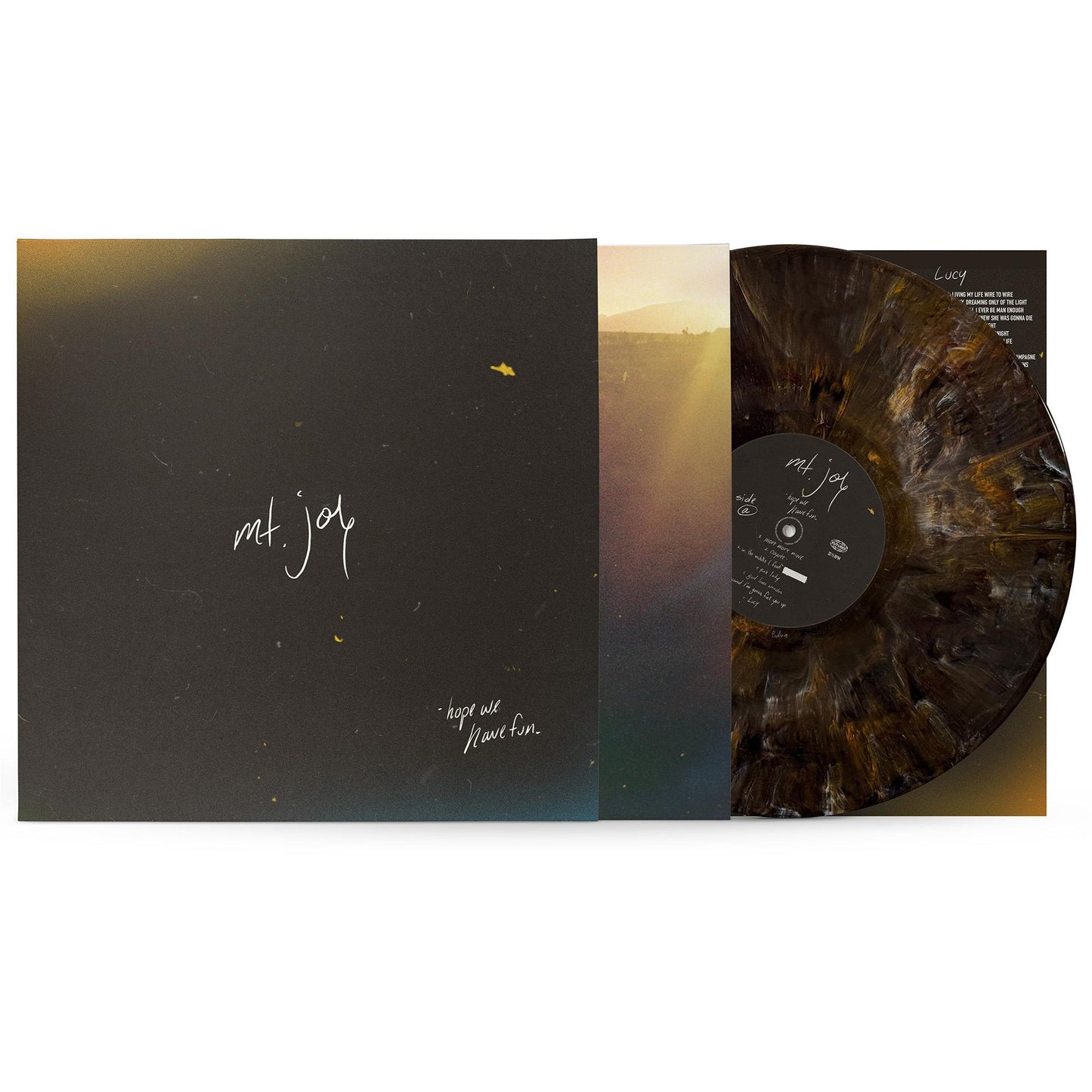 Mt Joy - Hope We Have Fun [Vinyl]
