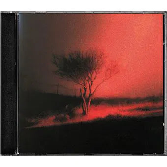 Joji - Piss In The Wind [CD]