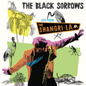 Black Sorrows - Live From The Shangri-La [CD]