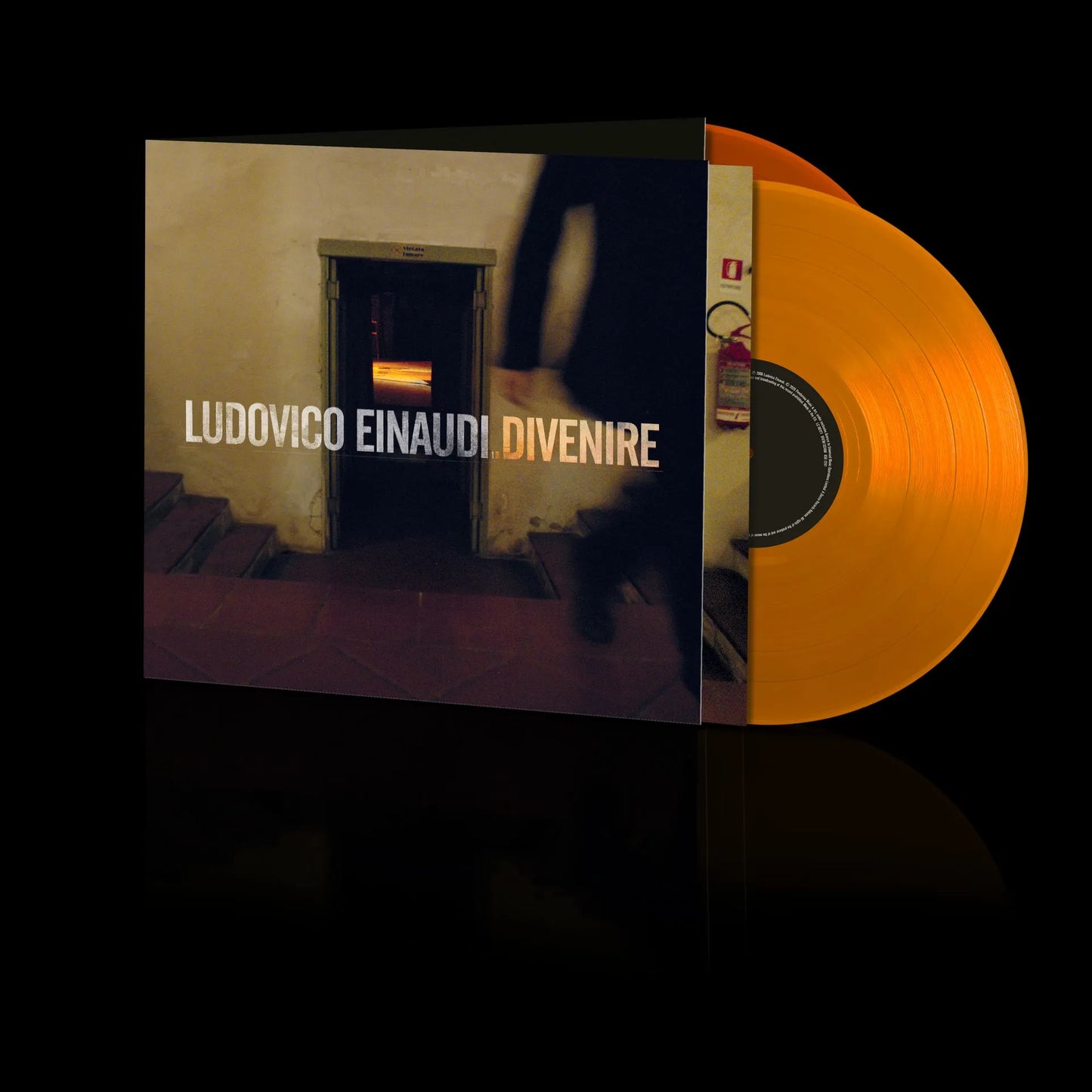 Einaudi, Ludovico - Divenire [Vinyl]