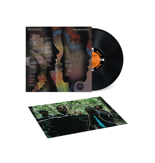 Irreversible Entanglements - Future Present Past [Vinyl]