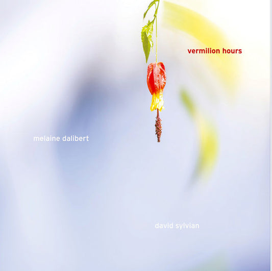 Dalibert, Melaine And David Sylvian - Vermilion Hours [Vinyl] [Second Hand]
