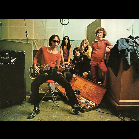 Flamin' Groovies - Teenage Head [Vinyl]