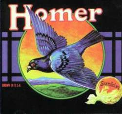 Homer - Grown In U.S.A. Plus Bonus [Vinyl]