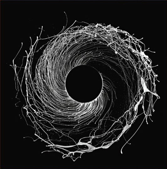 Dawn Of Midi - Dysnomia [Vinyl]