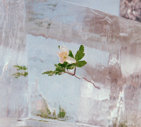 Efterklang - Windflowers [Vinyl]